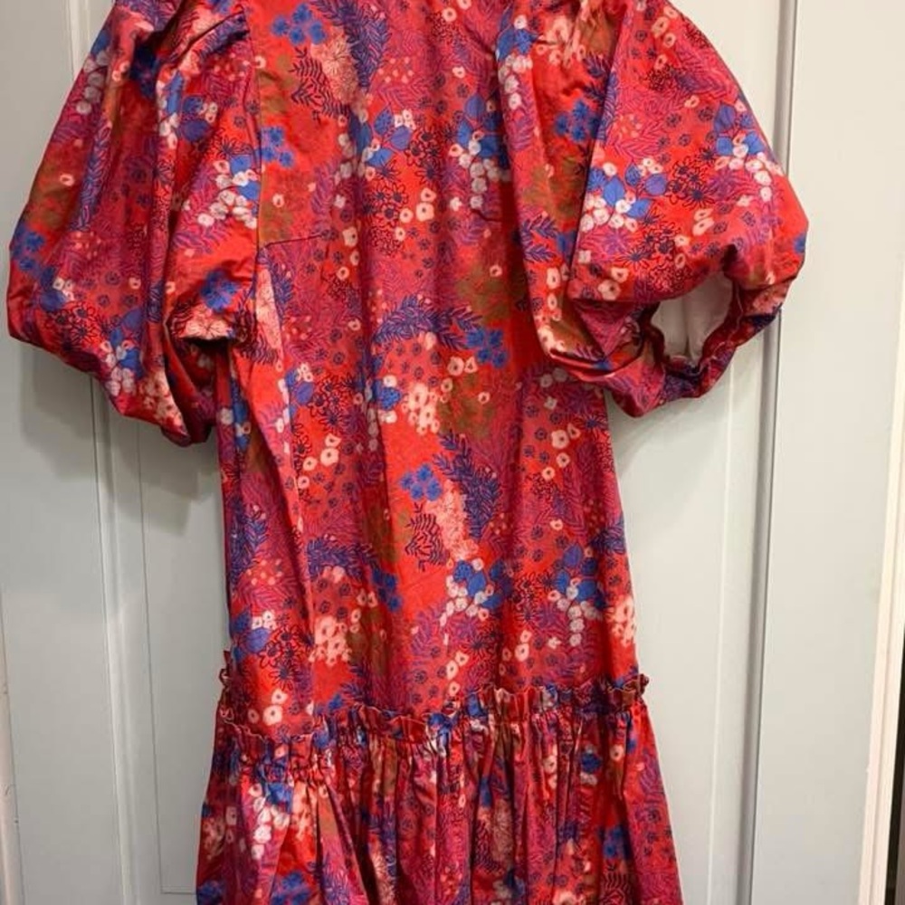 Tyler Boe Red Floral Puff-Sleeve Dress with Blue Accents